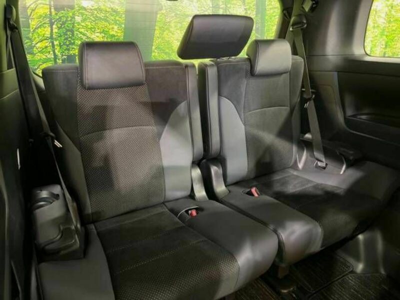 ALPHARD-11