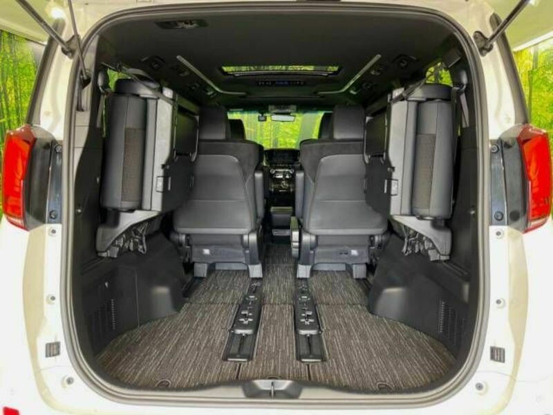 ALPHARD-12