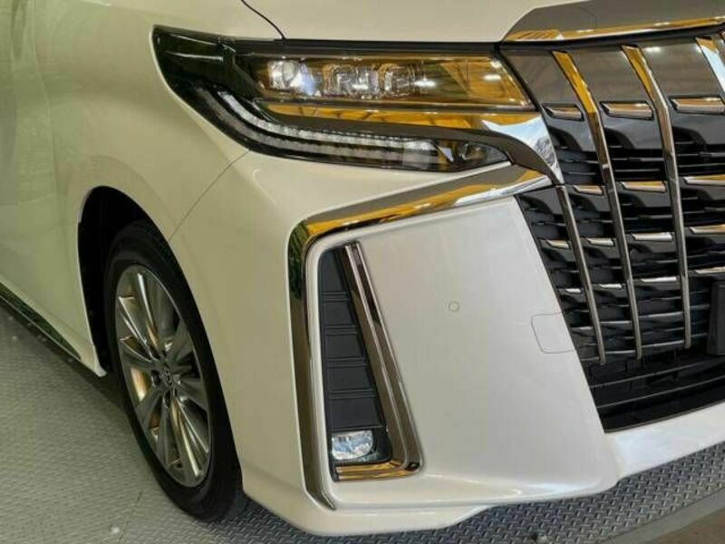 ALPHARD-13
