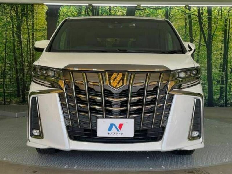 ALPHARD-15