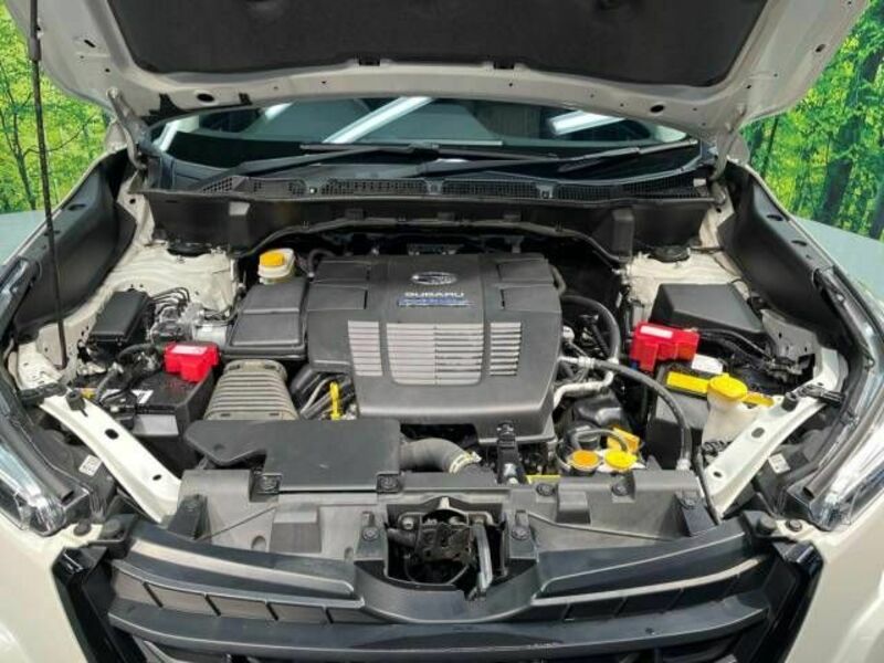 FORESTER-17