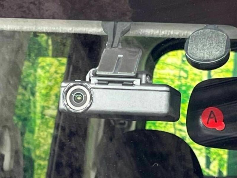 DAYZ ROOX-5