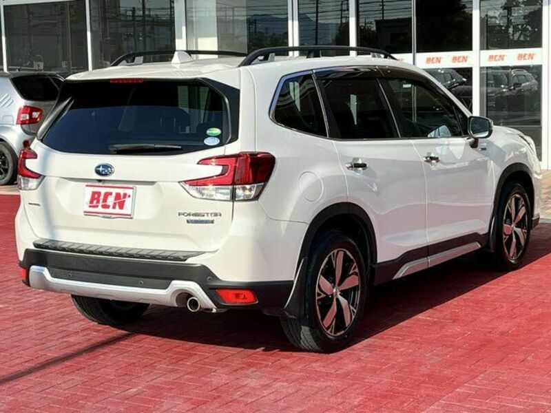 FORESTER-2