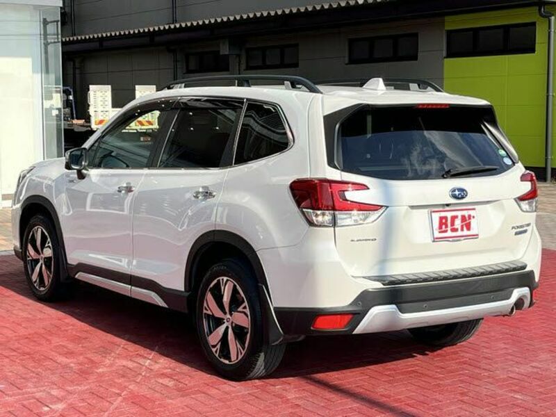 FORESTER-8