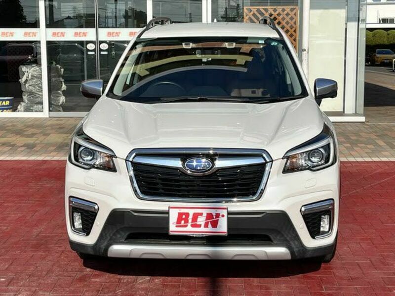FORESTER-21