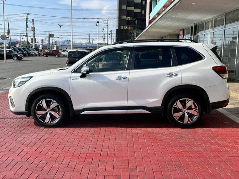 FORESTER-22