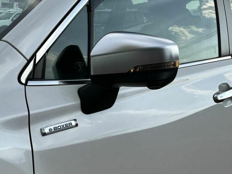 FORESTER-24