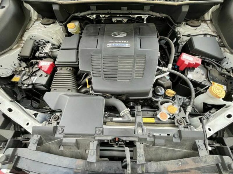FORESTER-27