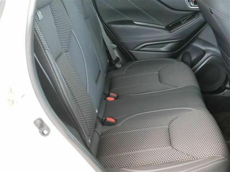 FORESTER-20