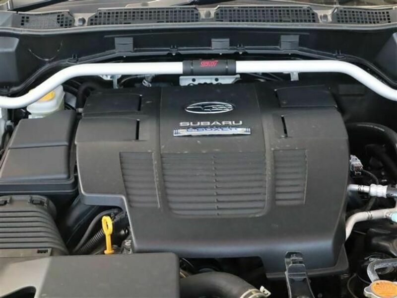 FORESTER-25