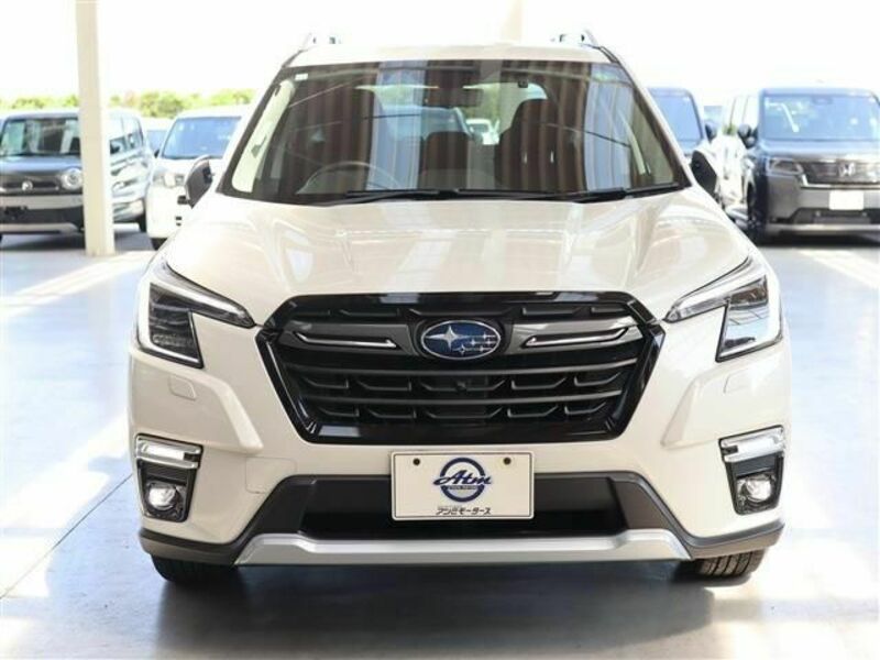 FORESTER-26