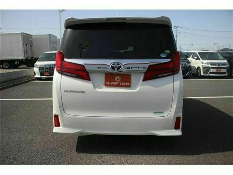 ALPHARD-10