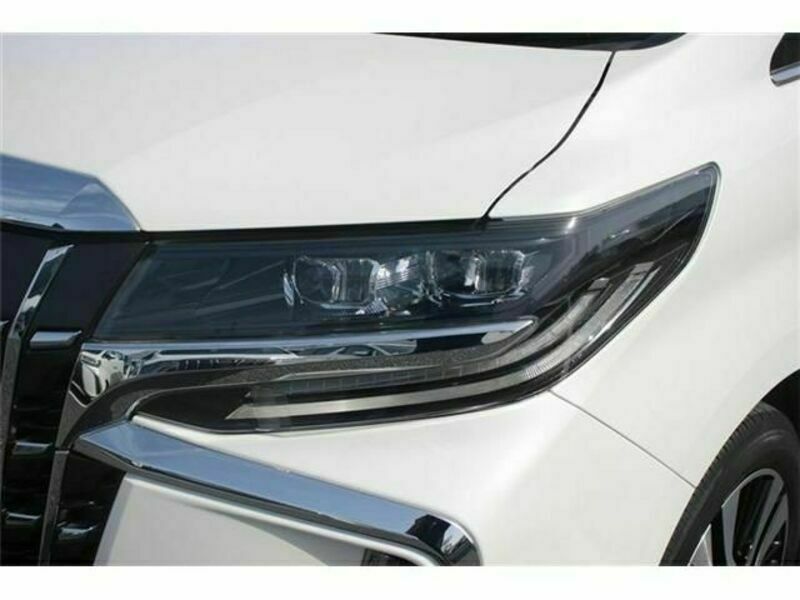 ALPHARD-13