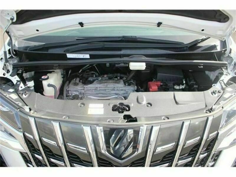 ALPHARD-18