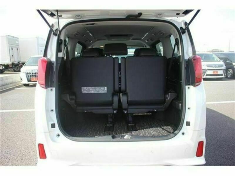 ALPHARD-19