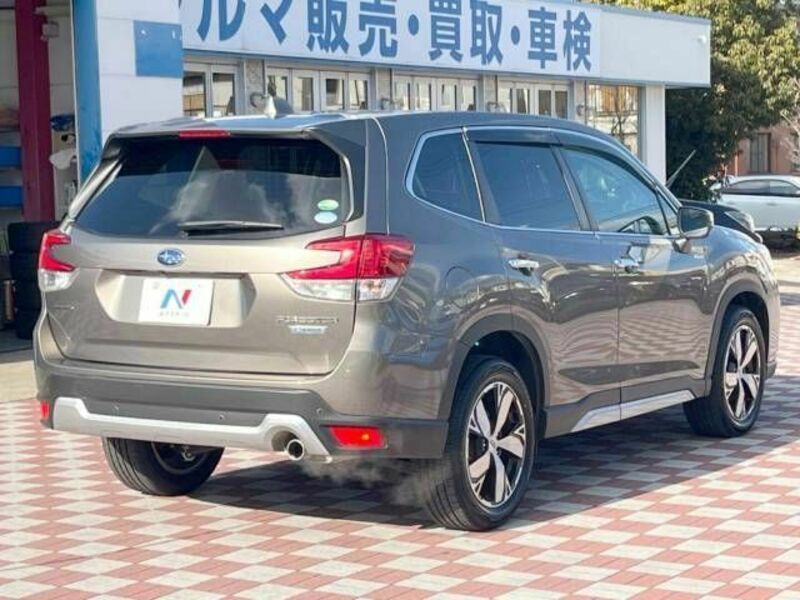 FORESTER