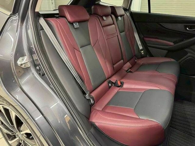 LEVORG-8