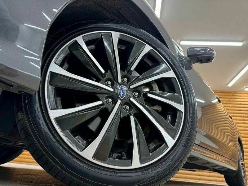 LEVORG-10