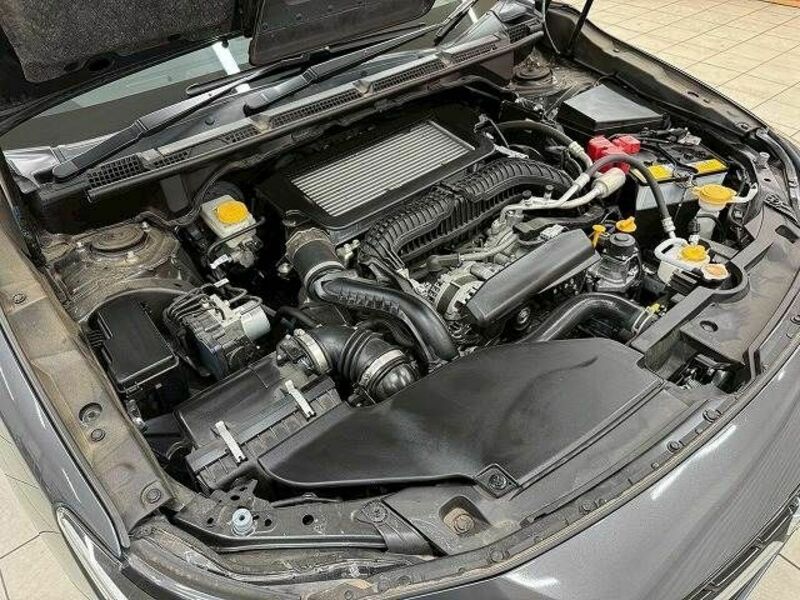 LEVORG-13