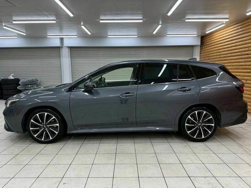 LEVORG-17