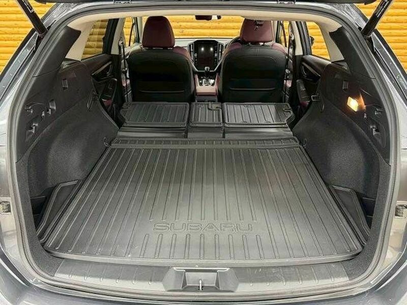 LEVORG-19