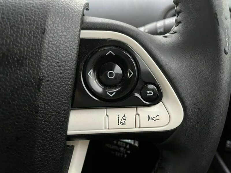 PRIUS-16