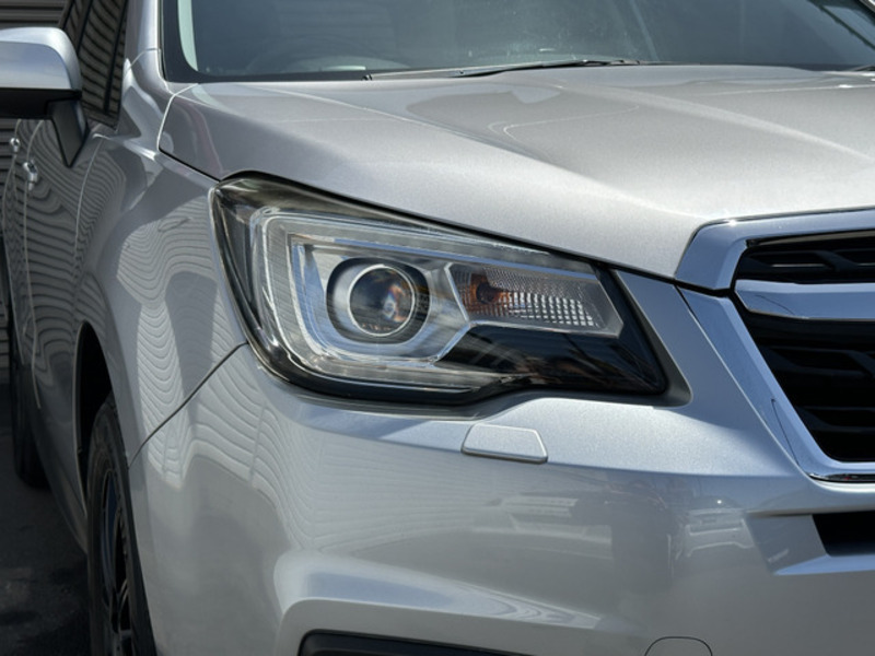 FORESTER