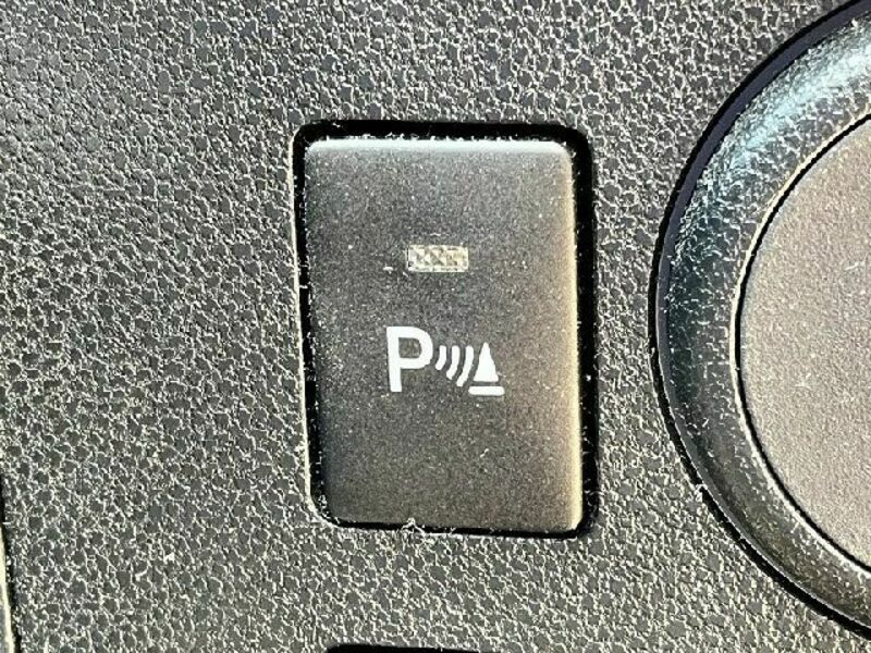 PIXIS EPOCH-19