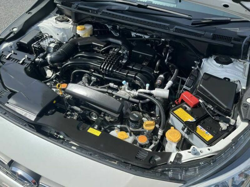 IMPREZA SPORT