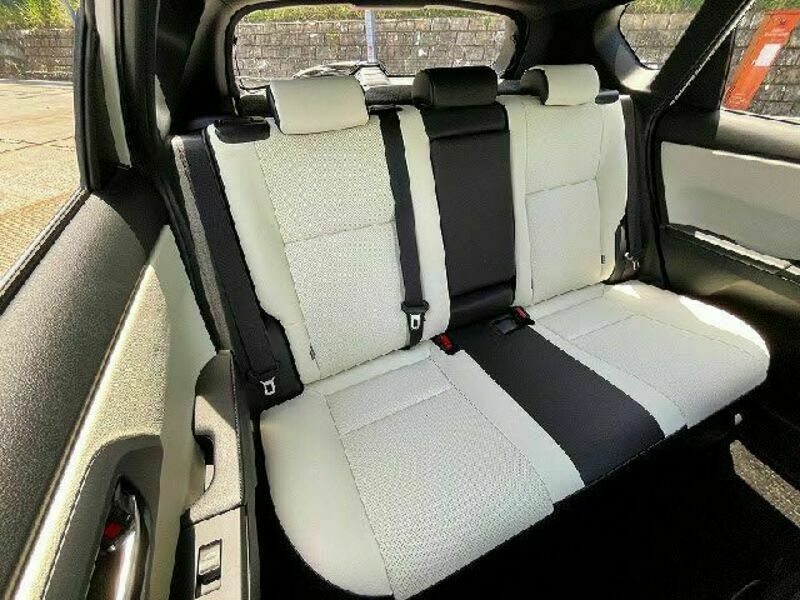AURIS HYBRID