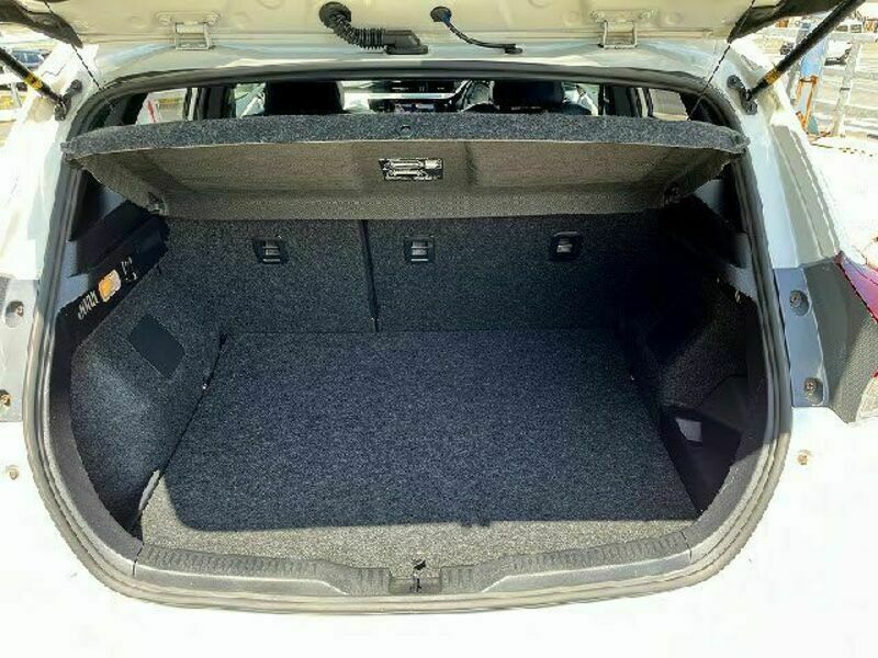 AURIS HYBRID