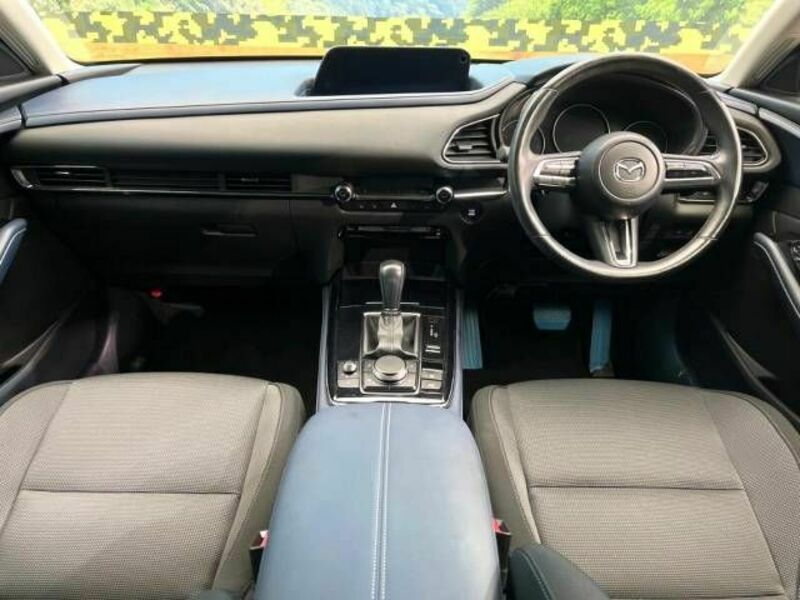 CX-30-1