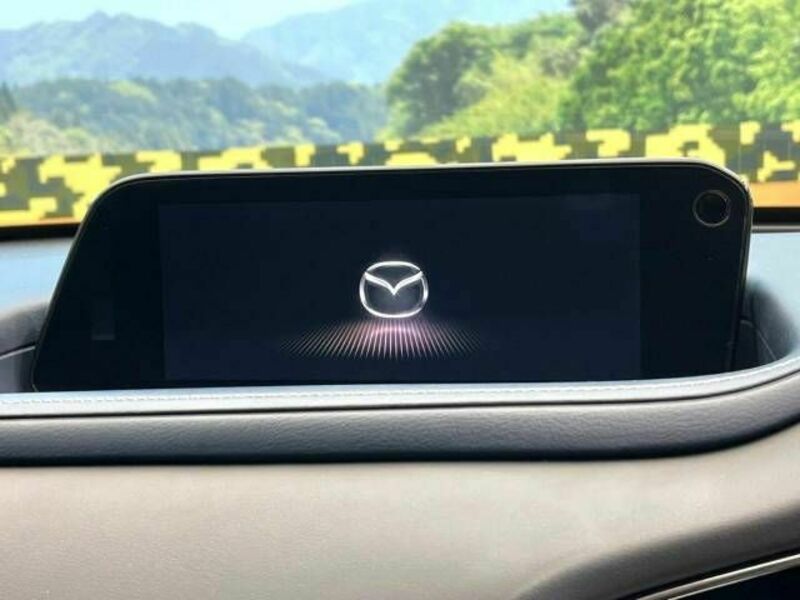 CX-30-2