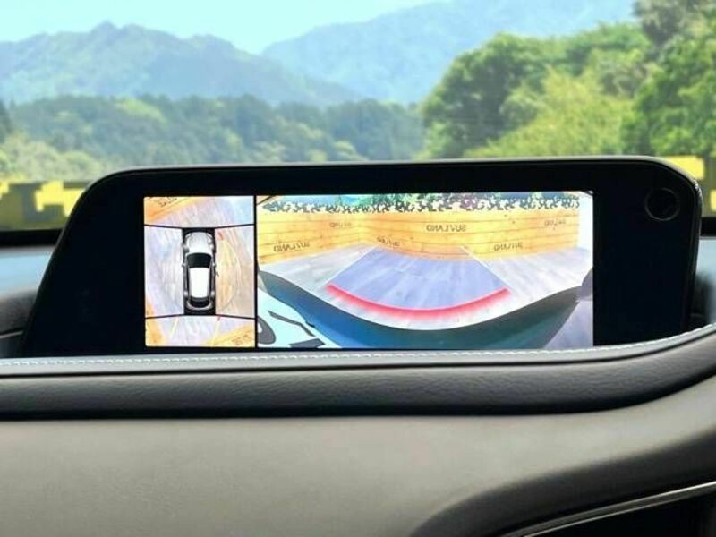 CX-30-3