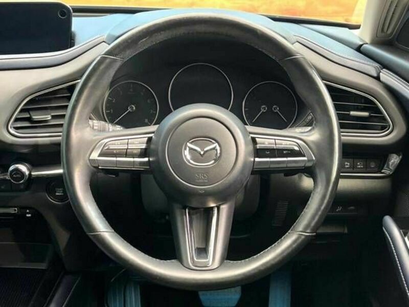 CX-30-10