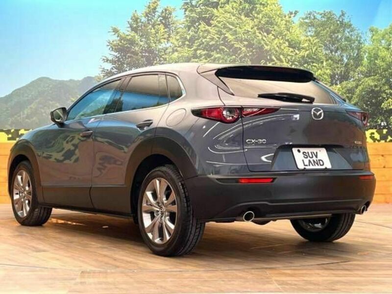 CX-30-15