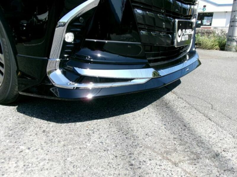ALPHARD-6