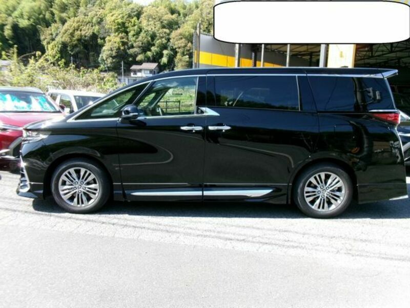 ALPHARD-12