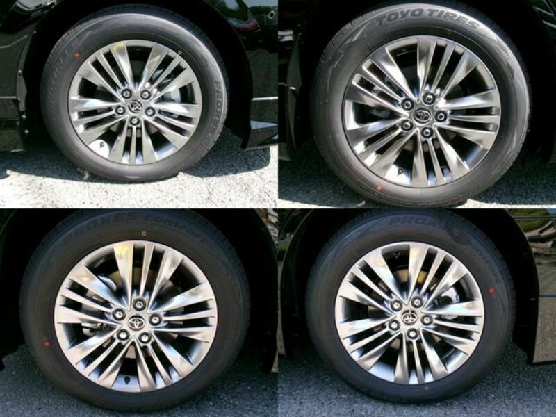ALPHARD-14