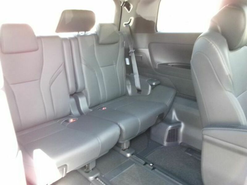 ALPHARD-18