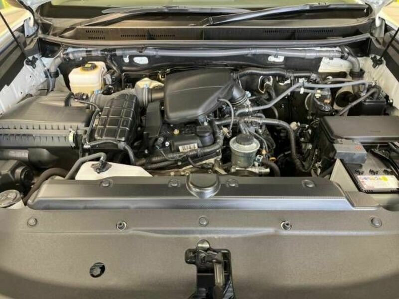 LAND CRUISER PRADO-18