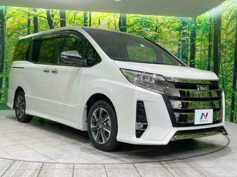 NOAH-17