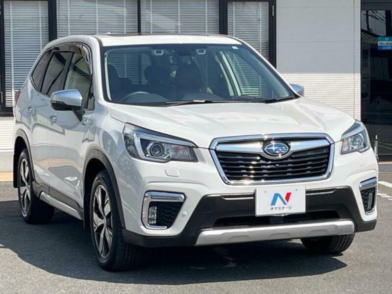 FORESTER