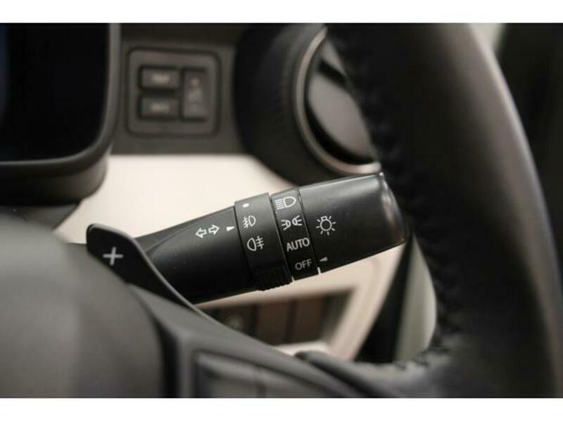 IGNIS-11