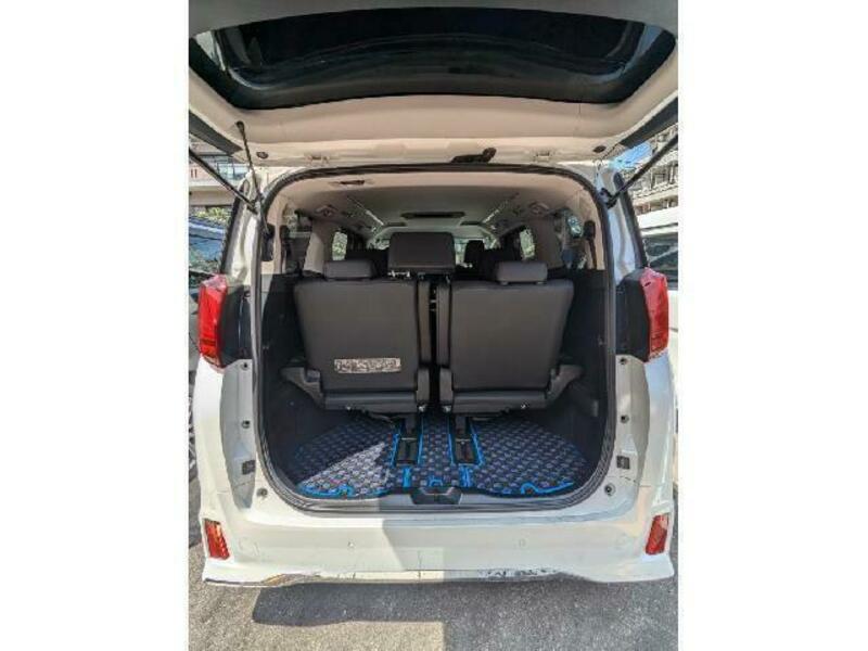 ALPHARD-14