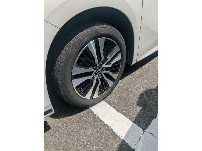 ALPHARD-10