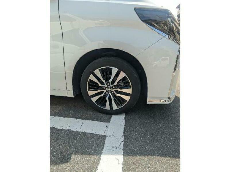 ALPHARD-11
