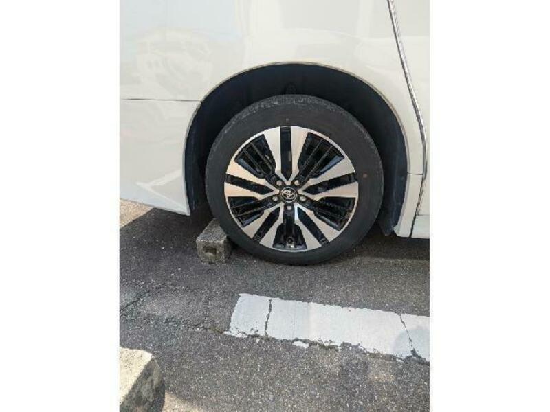 ALPHARD-12