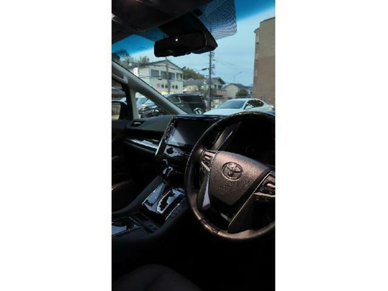ALPHARD-13