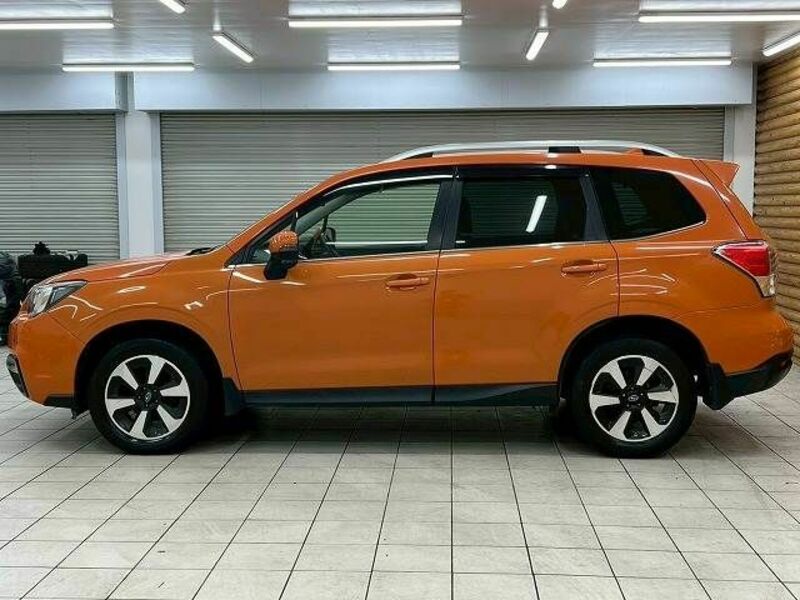 FORESTER
